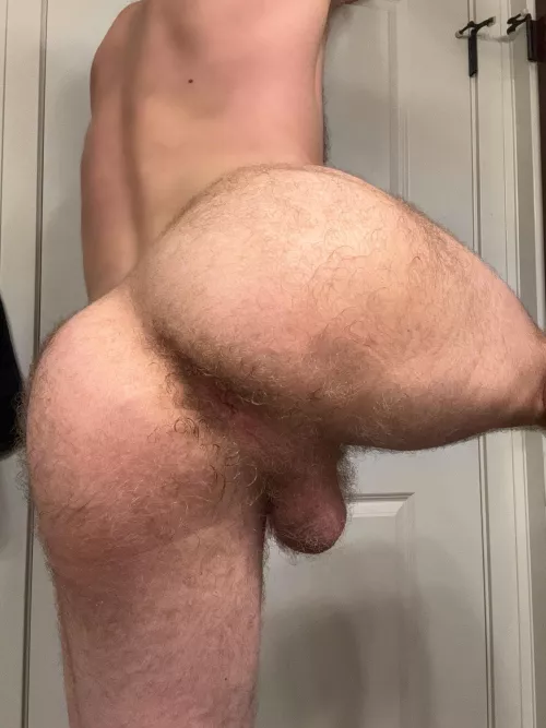 tongue fuck my sweaty post gym hole bro?