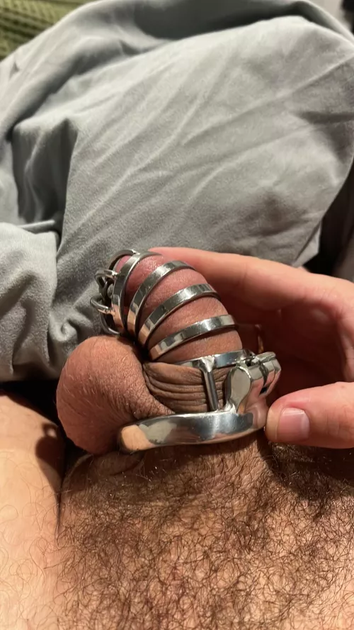 What would you do if you found the keys to your flat mates chastity cage?