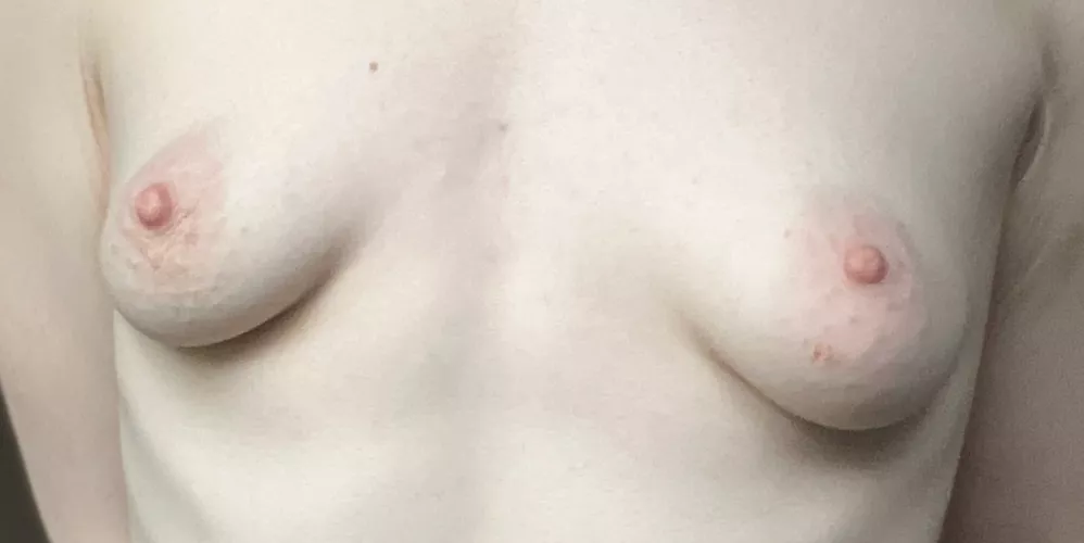 With my small boobs with areolas, not a single minute of your life would be boring anymore