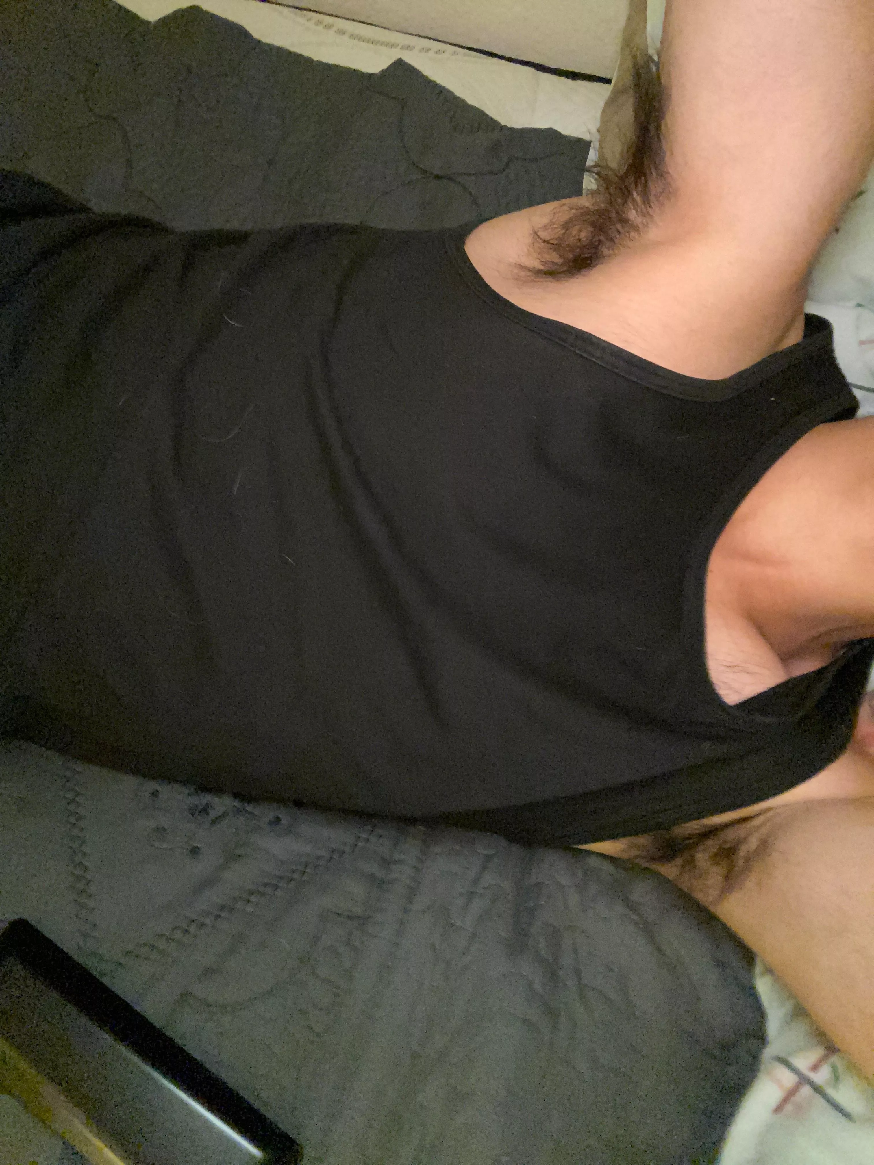 19, how are they? Hmu with ur pit pic