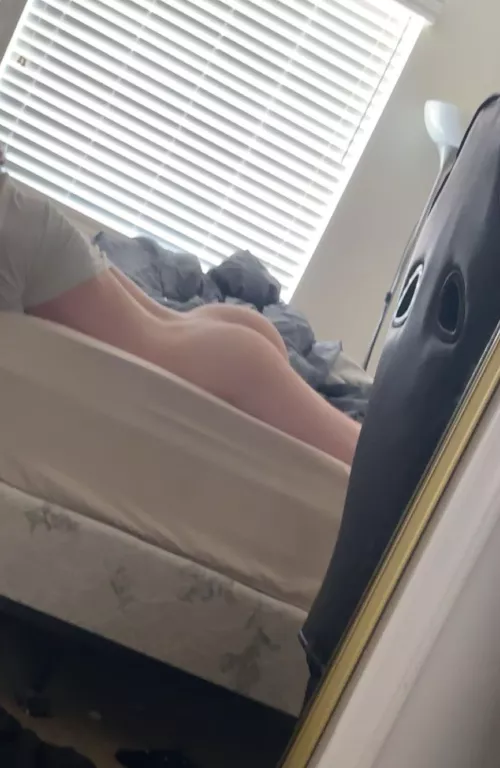 19 tiny virgin, any takers?