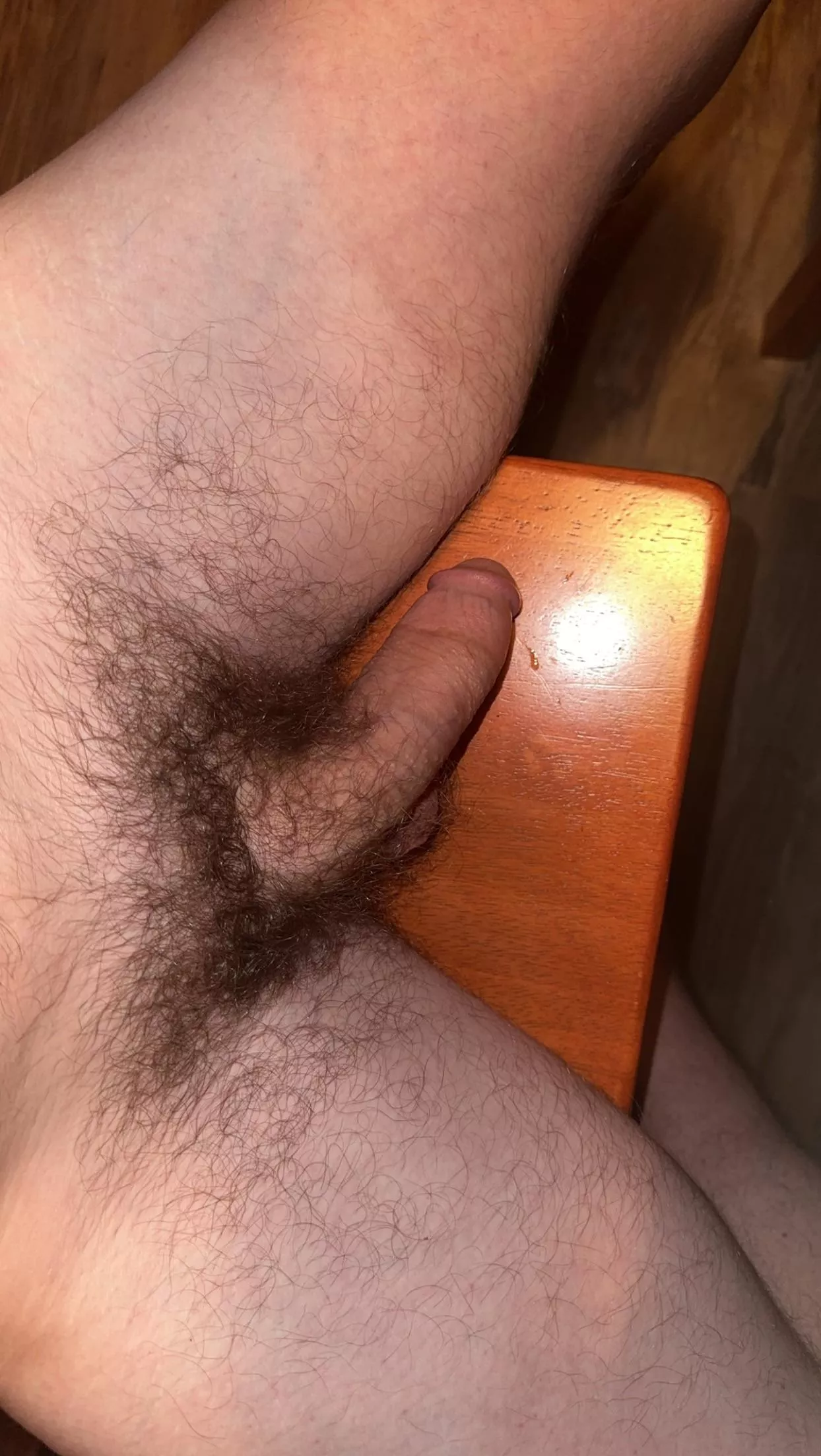 [20] Anyone like a bush?