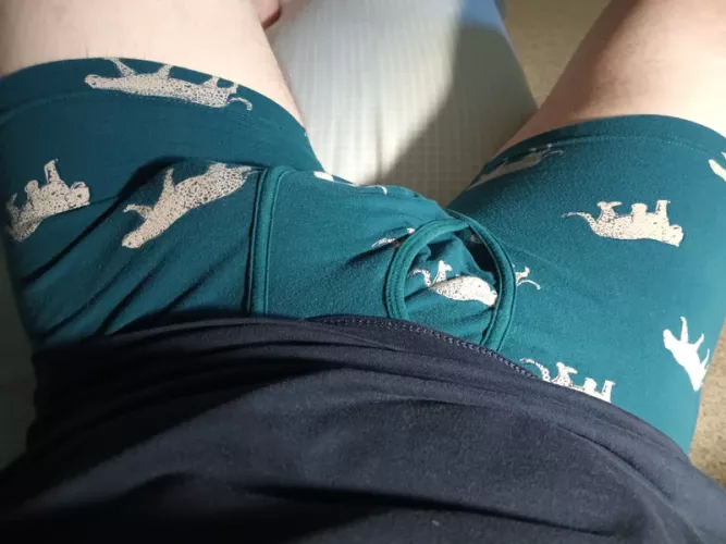 Any fans of undies with cool jaguars on them?