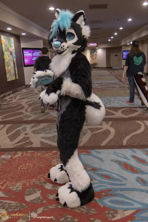Anyone know who this fursuiter is?