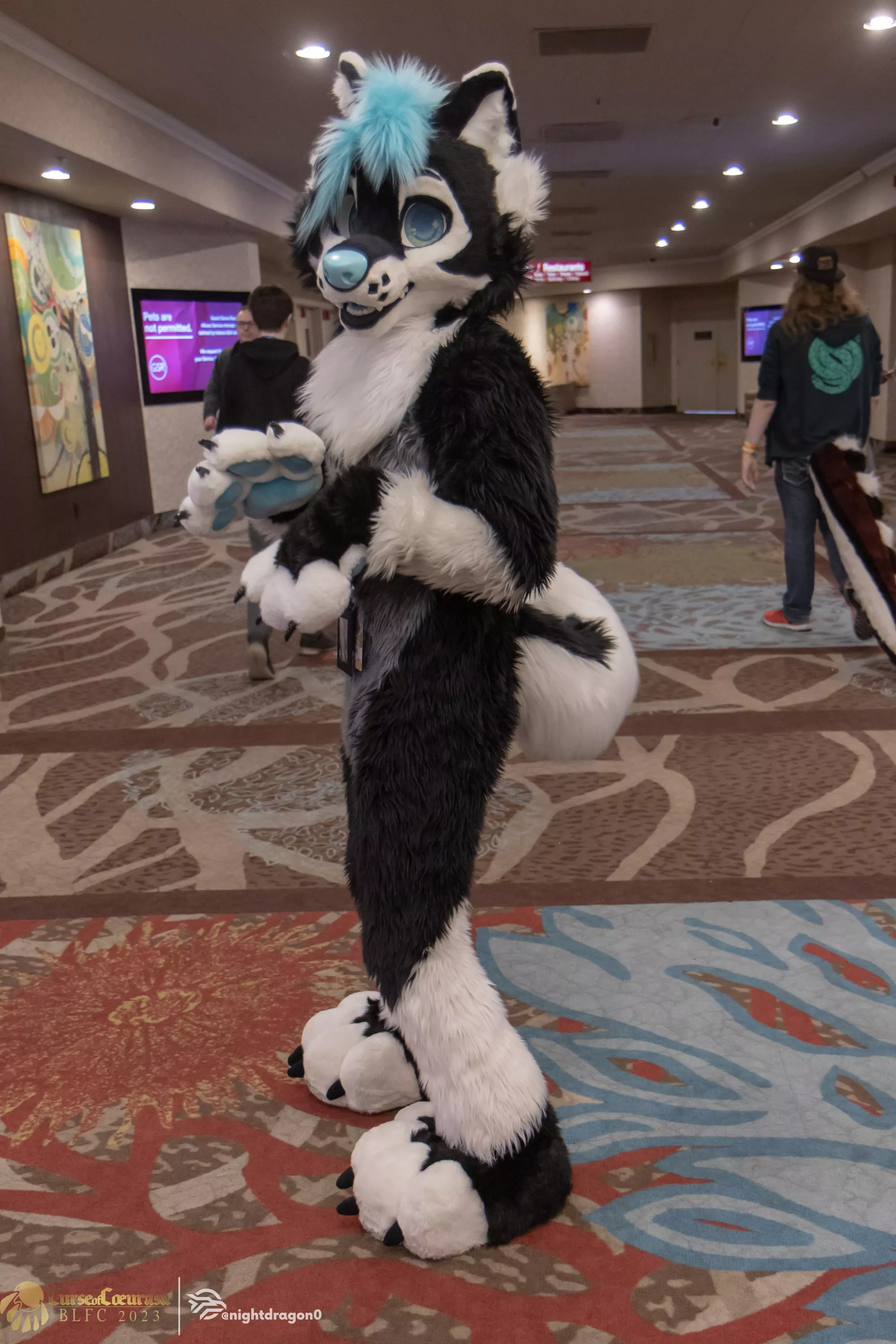 Anyone know who this fursuiter is?