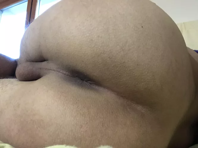 Do you like my bussy?