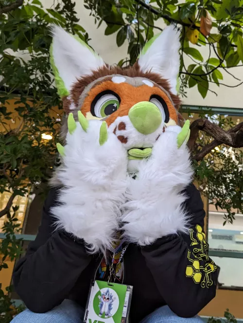 He's blepping at you! What do you do?