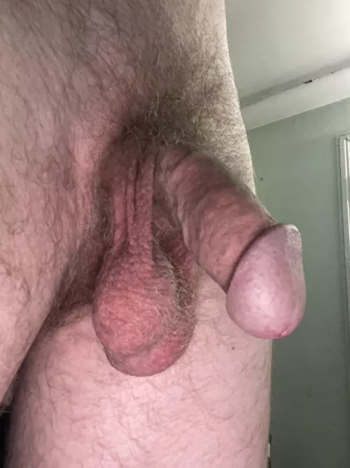 How’s this for a cut softie?