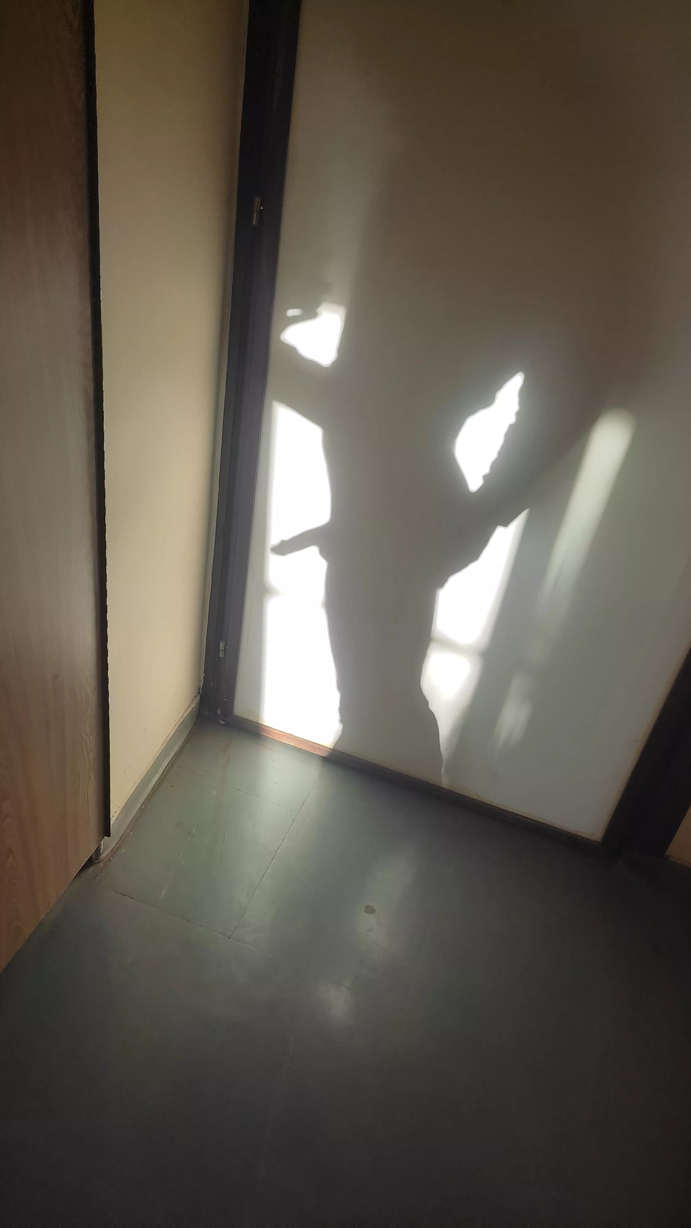 Imagine opening the door to find me nqked like that 😈👀