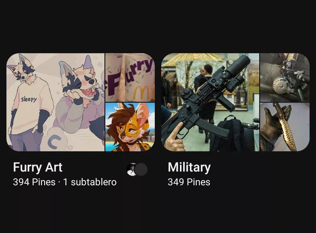 Least bipolar Pinterest account LOL. Any other gun-savvy furries out there? :)