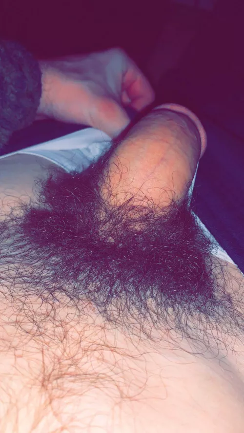 Love my bush🥰🥰