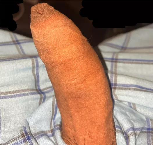 Make me cum. DMs open