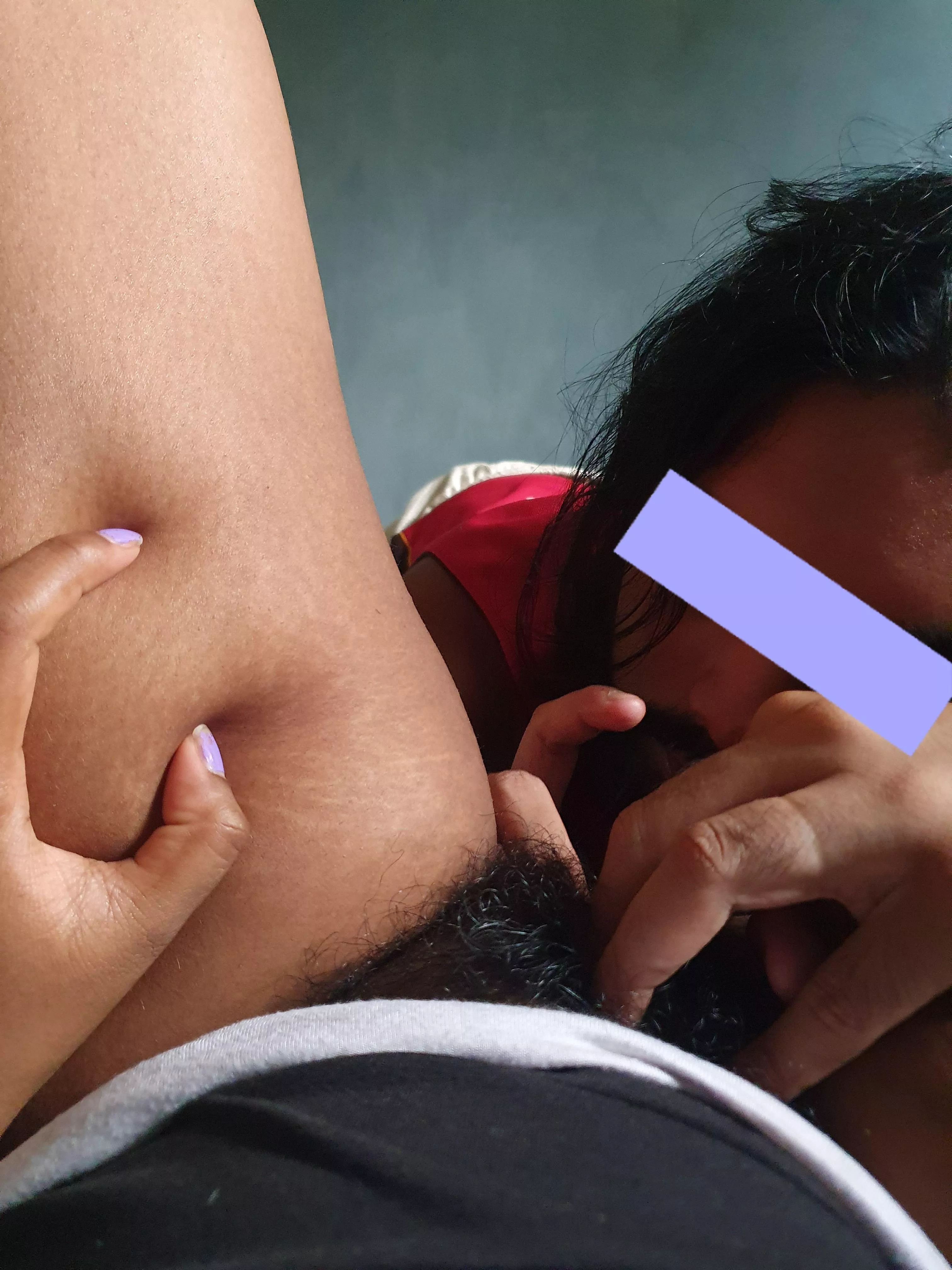 My bush is about to be explored