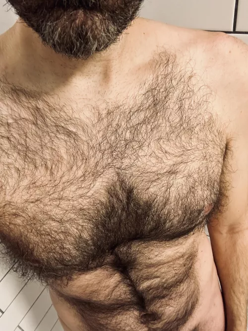 Pre-shower hairy tiddies...