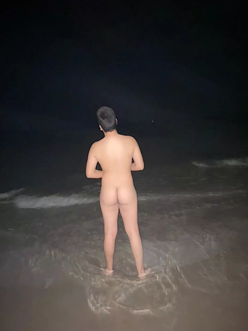 south florida is wild