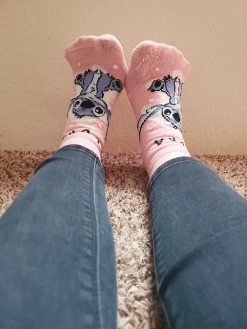 Stitch wants to be part of your family, no matter how stinky [Selling]