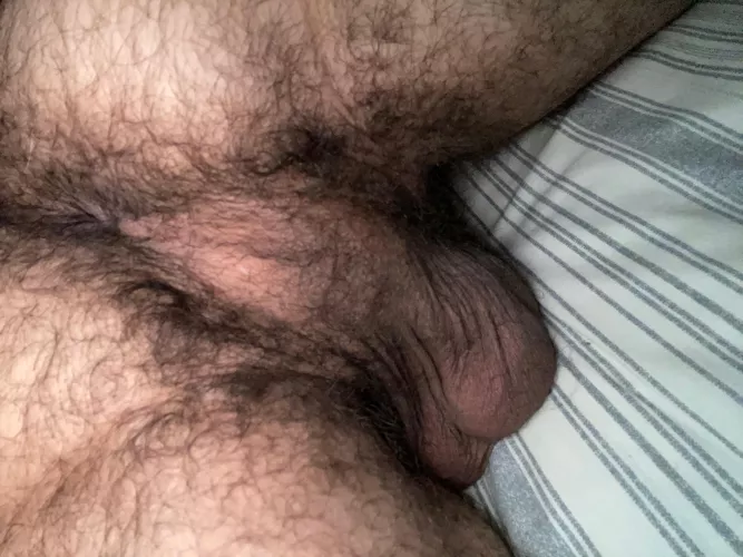 Tell me what you’d do to this hairy ass