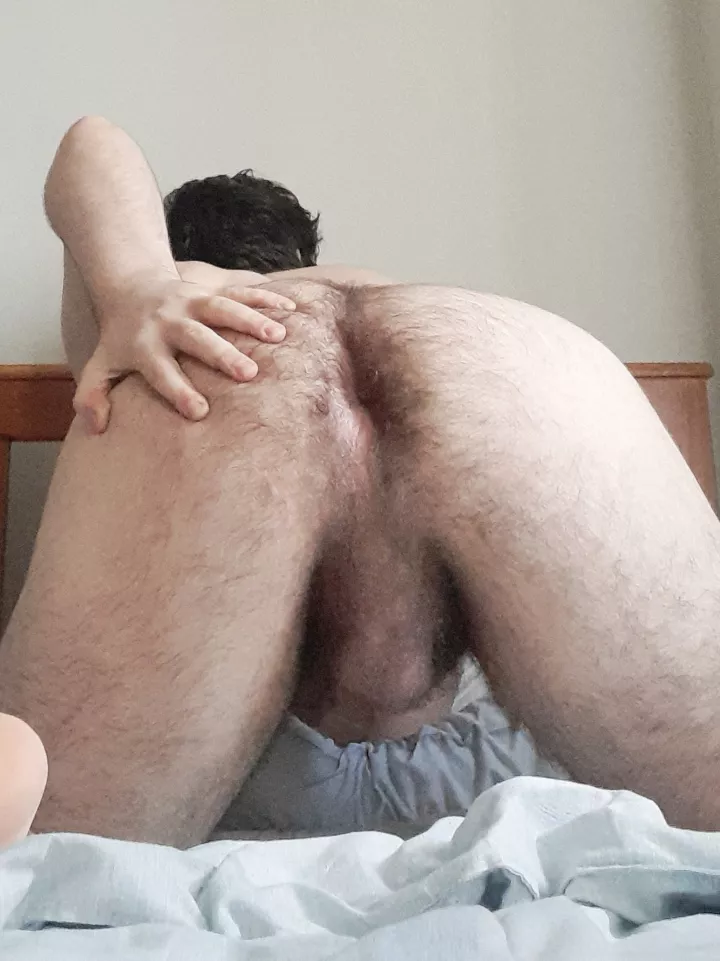 What are you doing first with my furry 🐻 hole?~