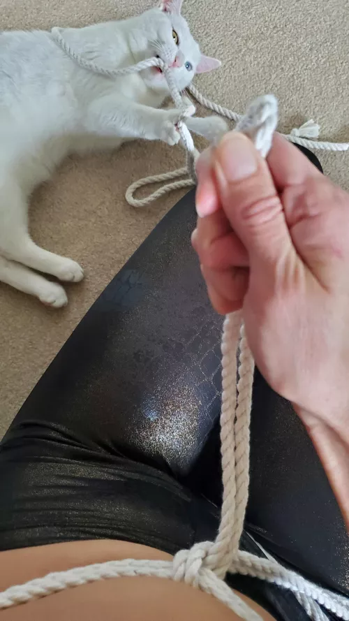 When you're both into ropes and have to share...