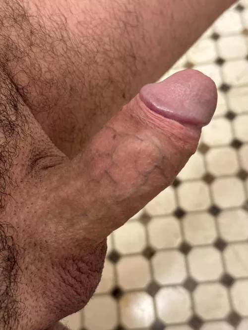 (50) Reddit always starts trouble. NYC