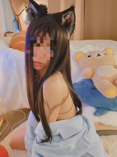 Are you looking to adopt a kitty