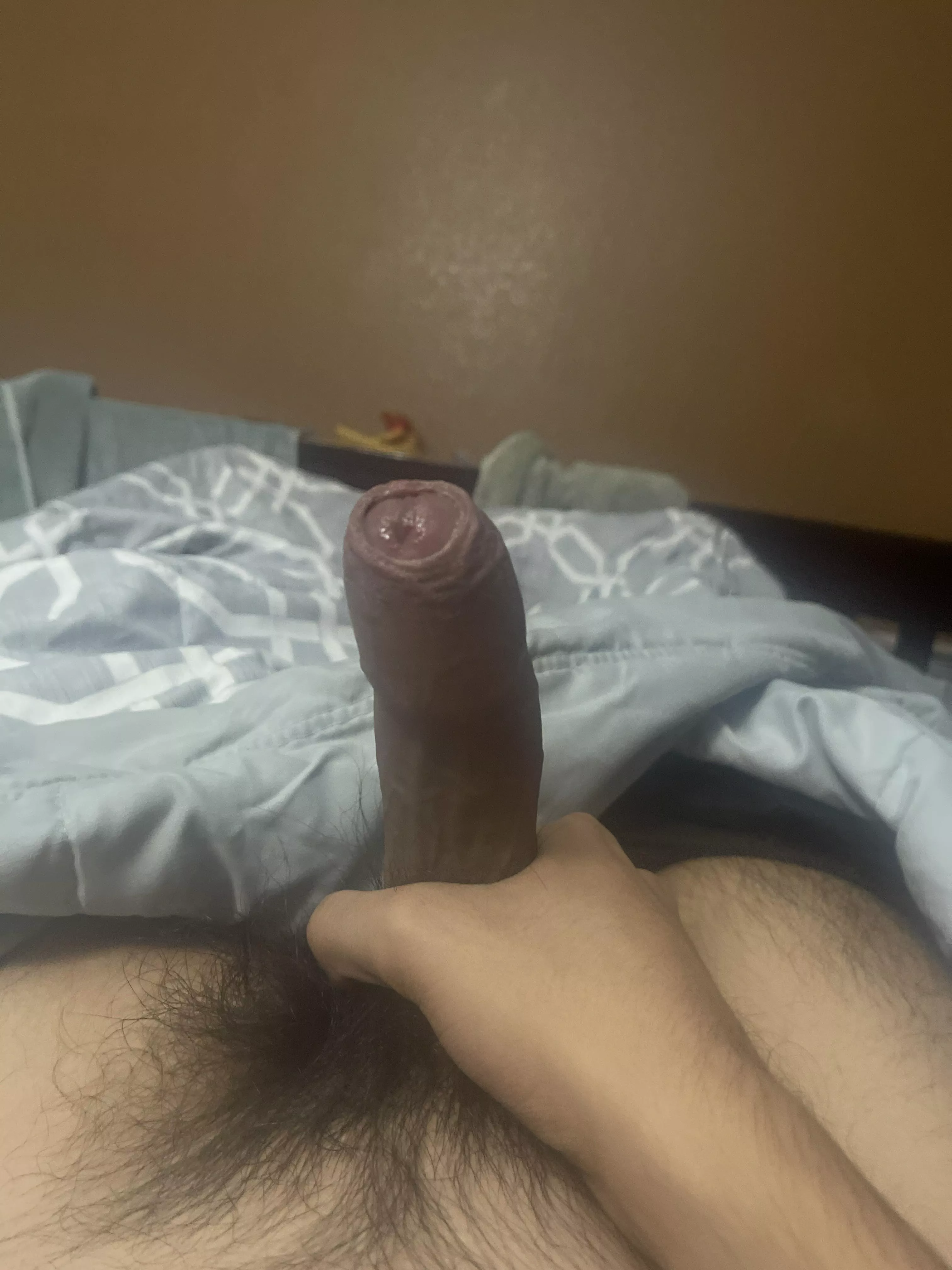 barely legal cock ready to be sucked