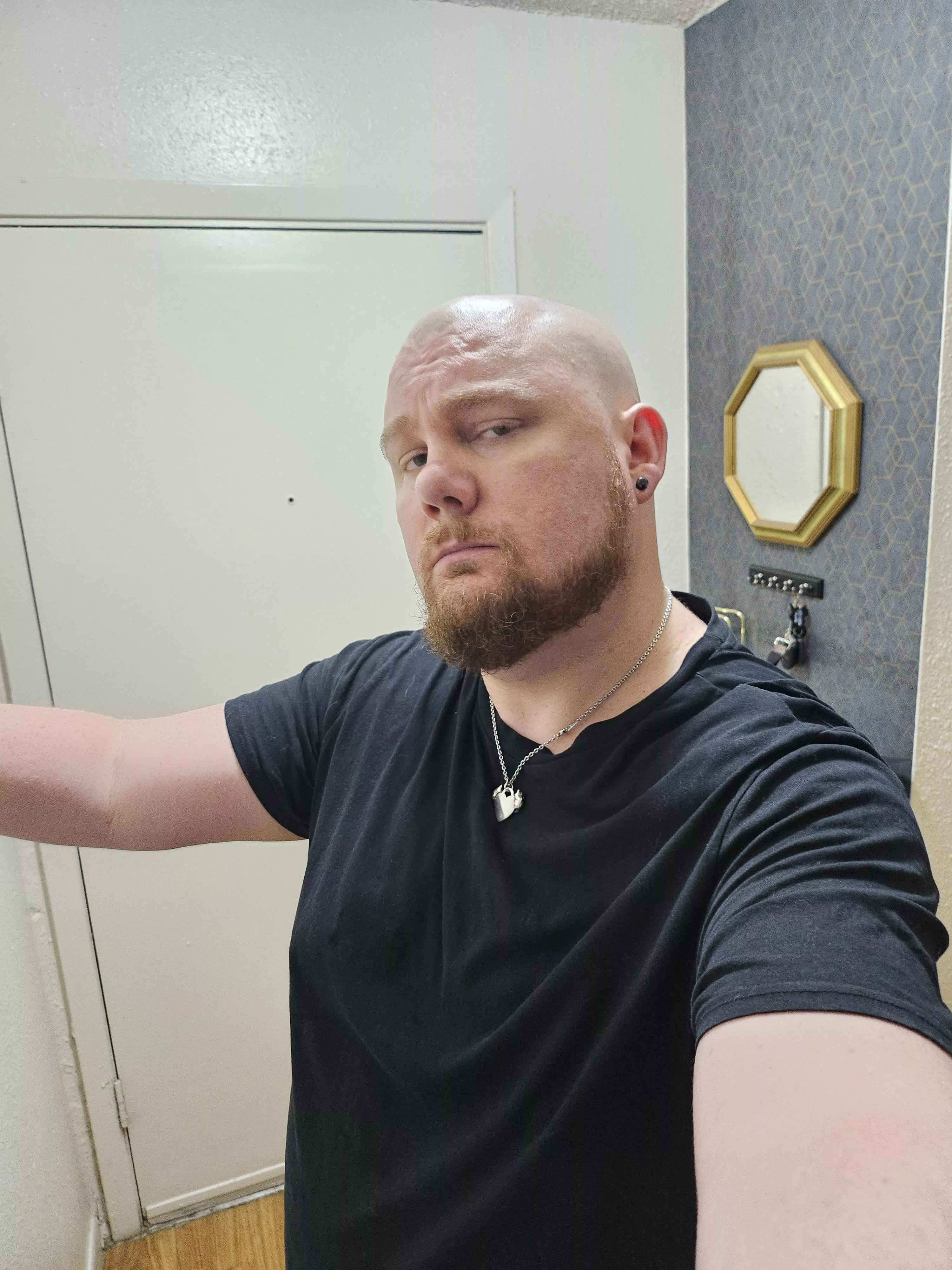 Bear from Austin Texas