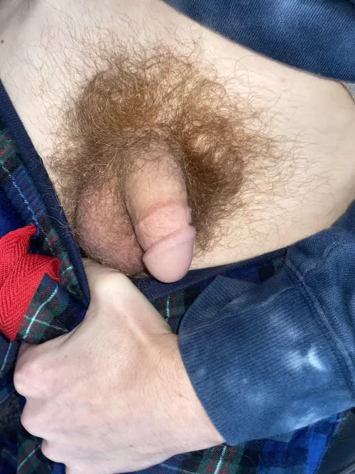 Been letting the bush grow out lately