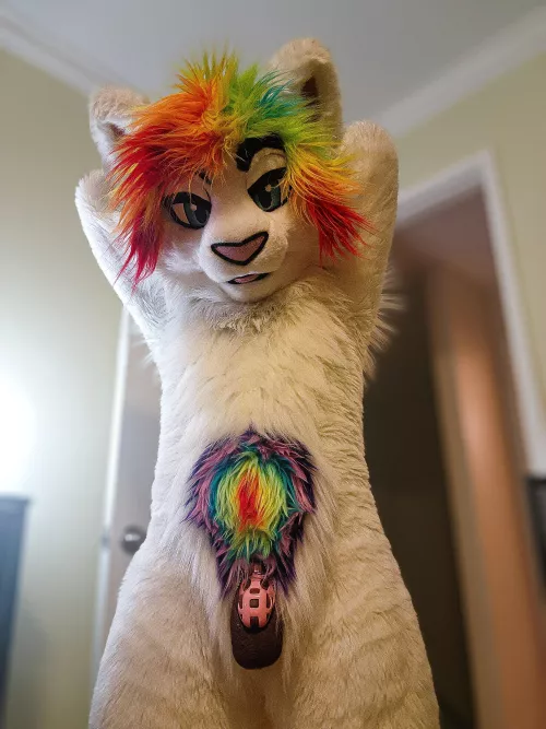 Cat wants to play with you :3