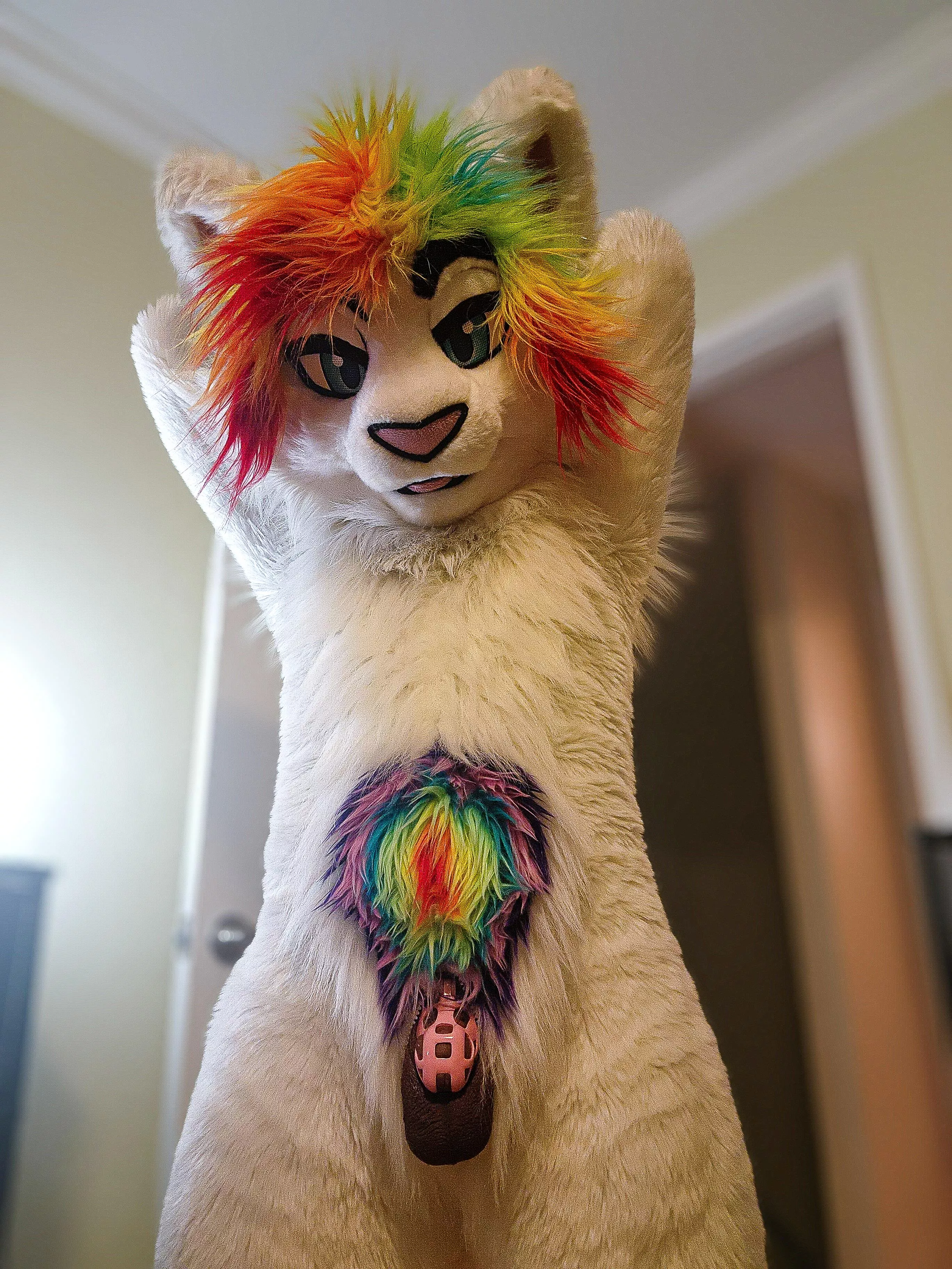 Cat wants to play with you :3