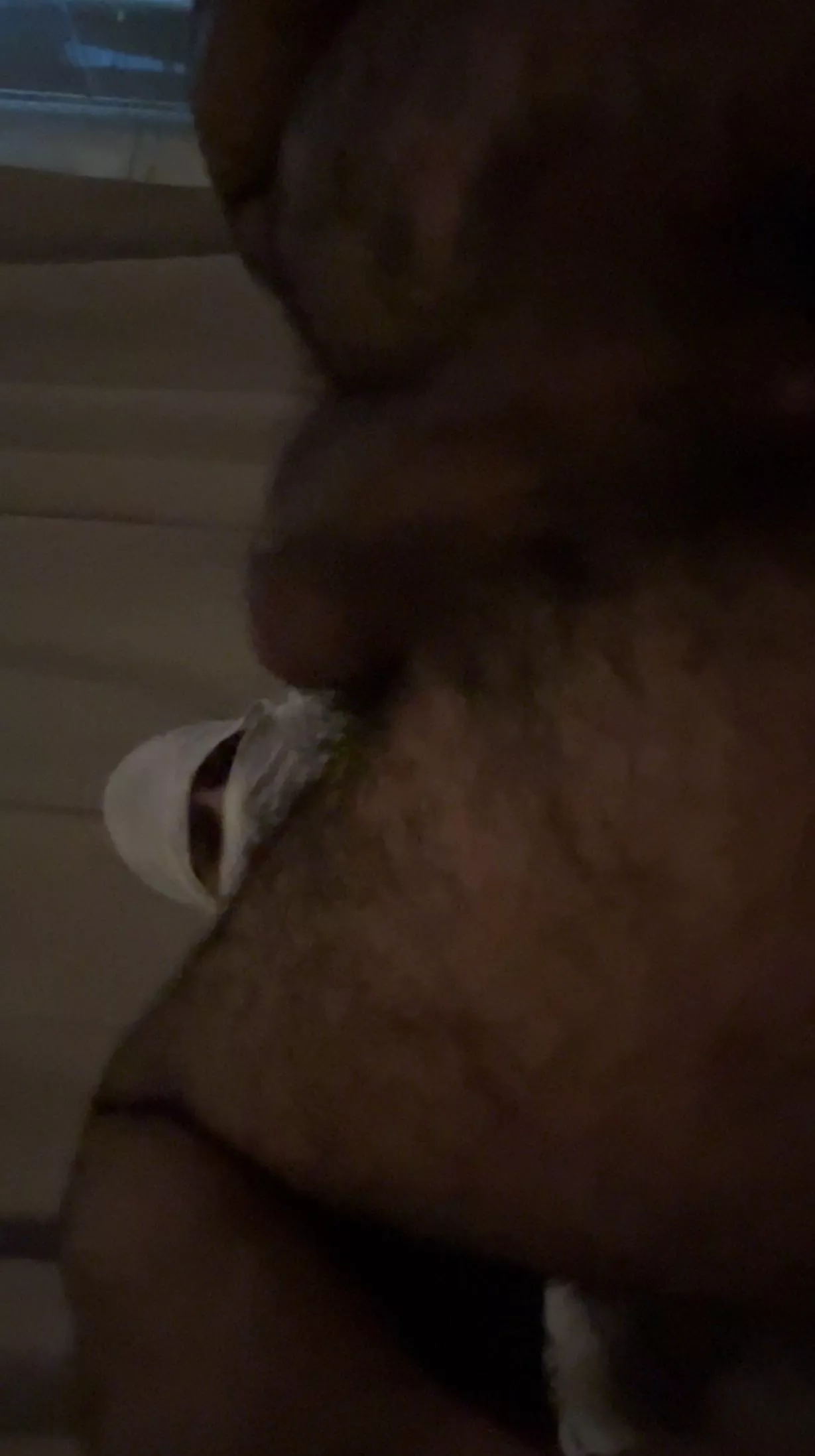 Come break my Lebanese ass