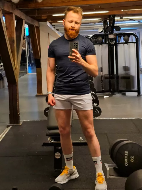 Do you like gingers?