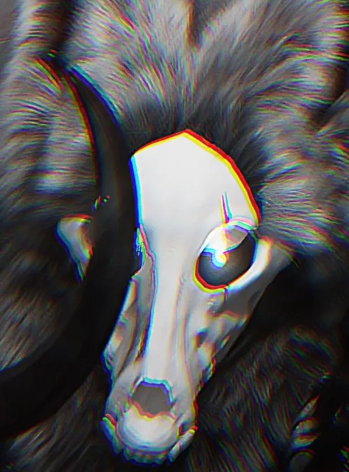 Go ahead, admire me.