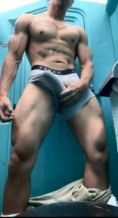 I love these Hanes underwear