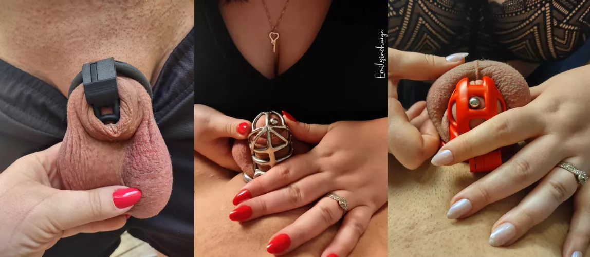 I was happy to see how excited everyone was to help me pick a cage for Hubby for the next few weeks 😍😘 I thought it might be helpful for you to see all of my top choices in action 🤭😘 its such a difficult decision, isn't it? 🤭😘😈