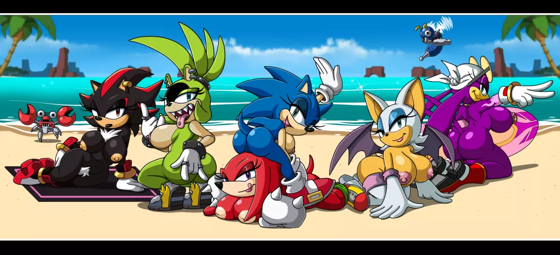 Mobian Beach Party (Artist:LordStevie)