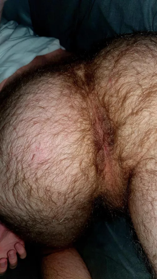 My ass is so hairy, would you still eat it?