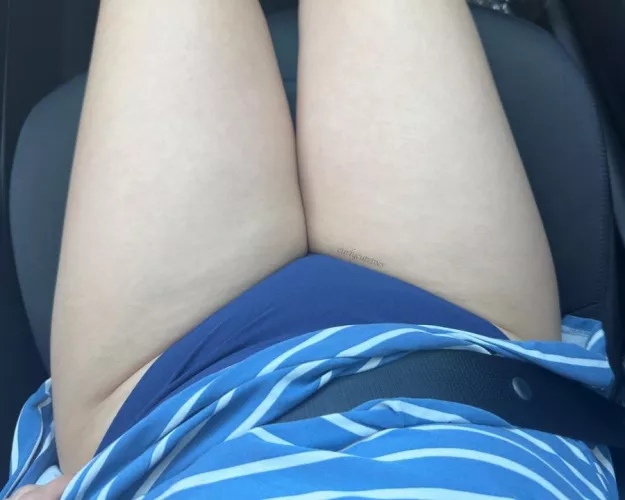 Passenger Princess. [OC]