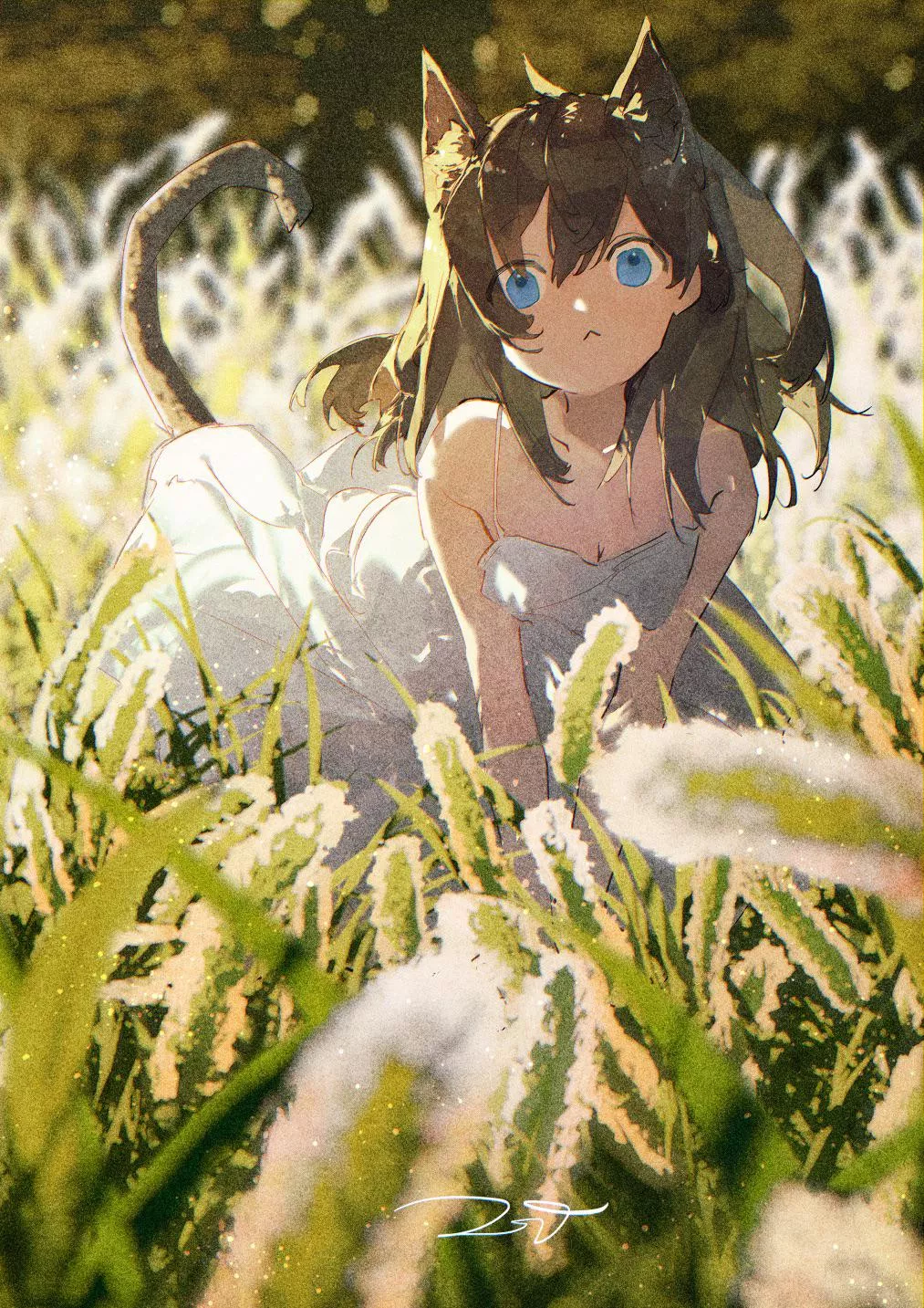 Reed Field (Potg) [Original]