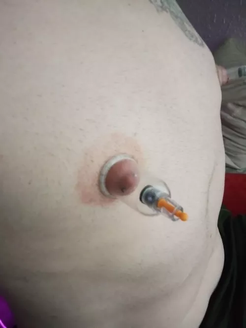 Small nipples trying to get bigger