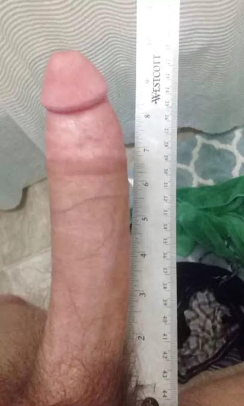 Tell me are you smaller than me or bigger