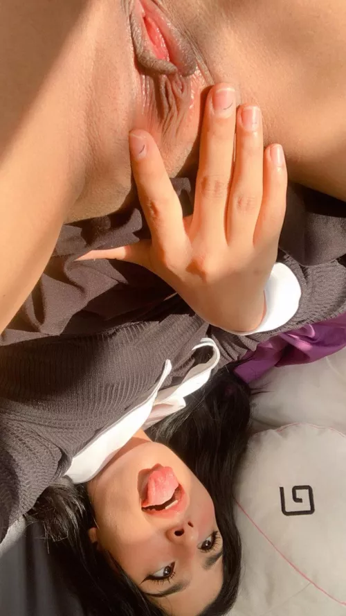 the appetizer is already served