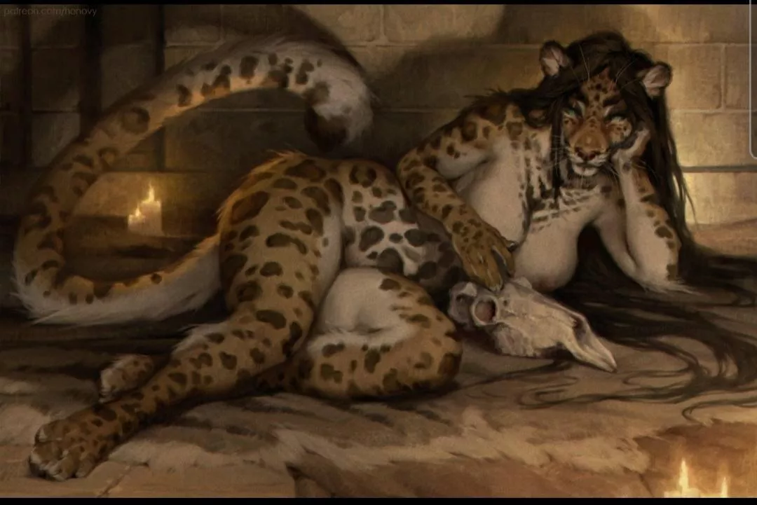 Waiting in shadow [f] (honovy)