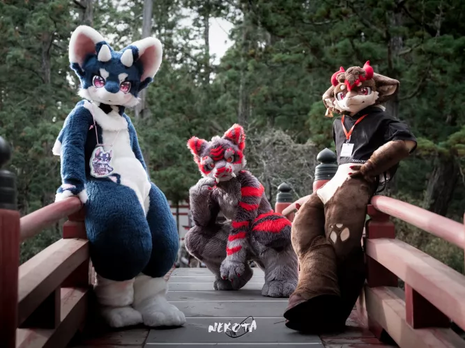 What would be your furry album name? (photo features @FurryTsuha, @austin35623103 & @guni1636 on Twitter)