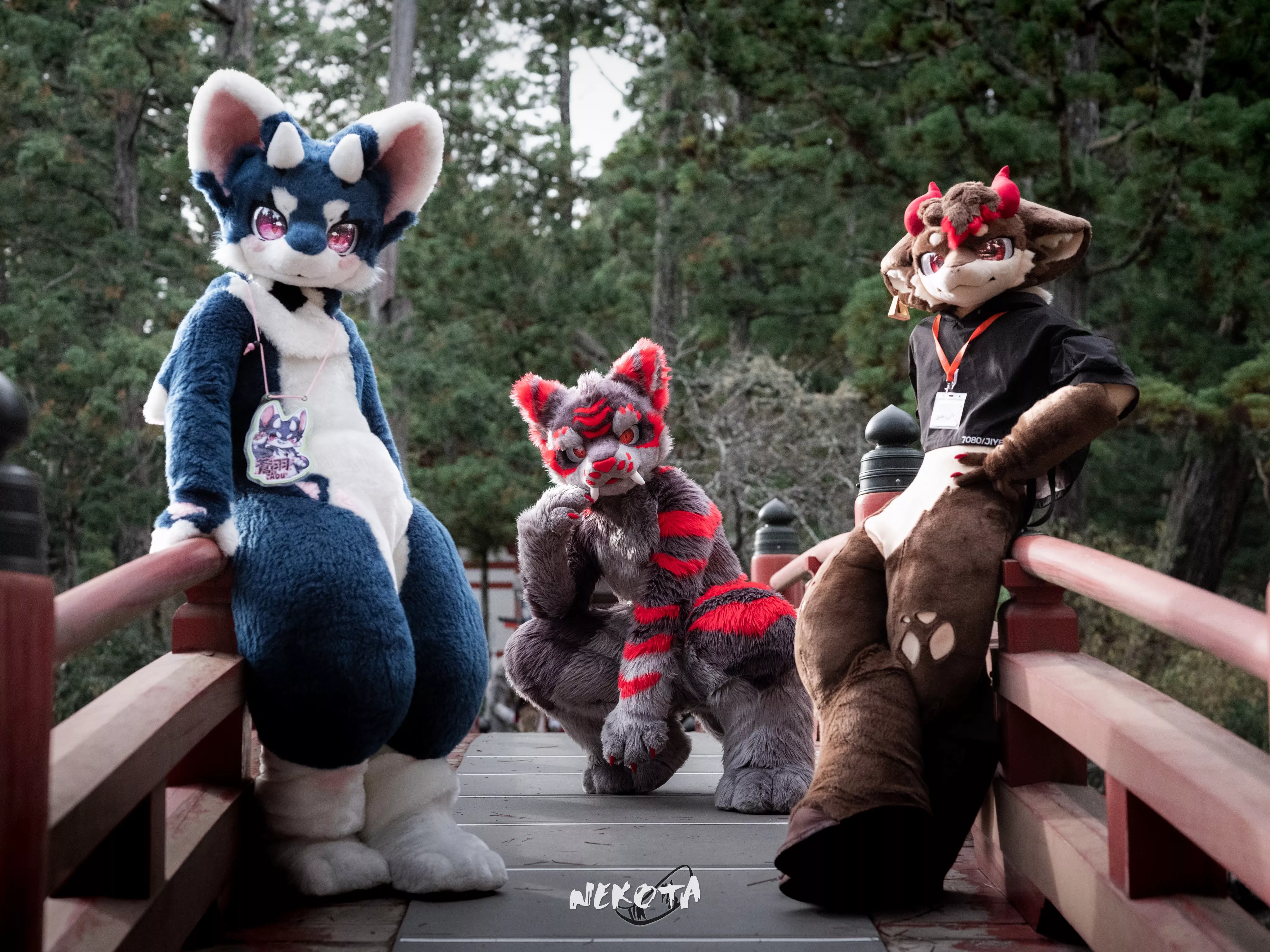 What would be your furry album name? (photo features @FurryTsuha, @austin35623103 & @guni1636 on Twitter)