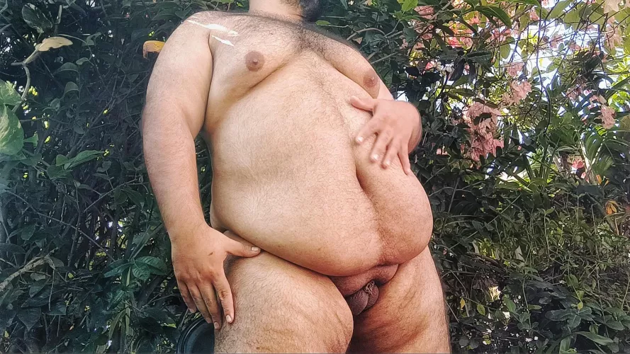 Where them chubby bears?