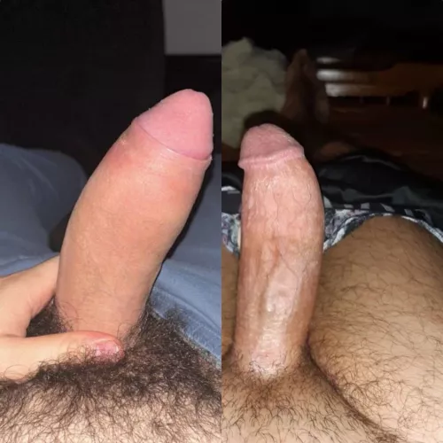 Which do you prefer?