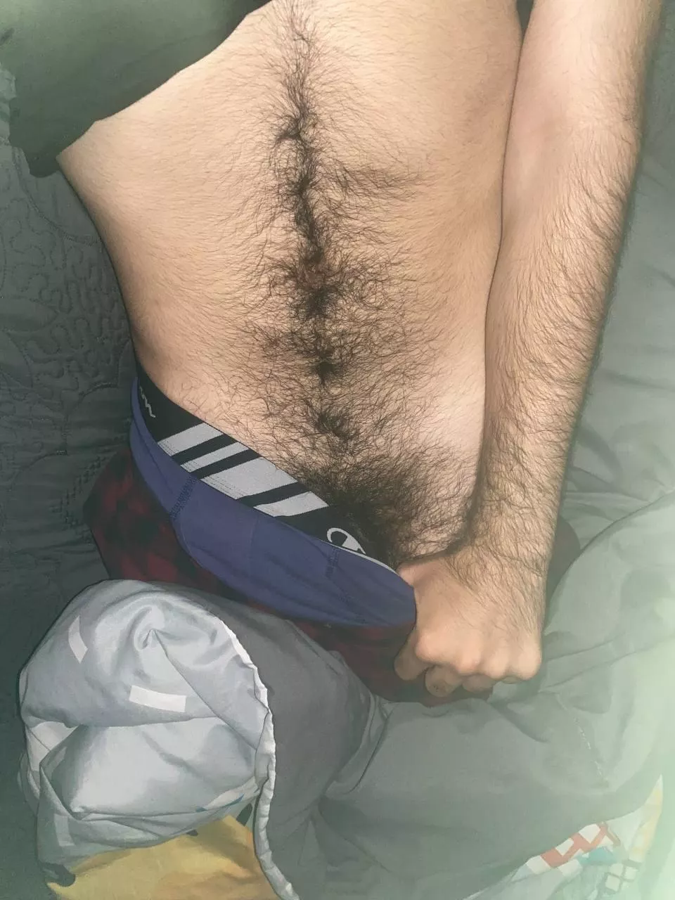 19, am I an otter or just a hairy guy? hmu