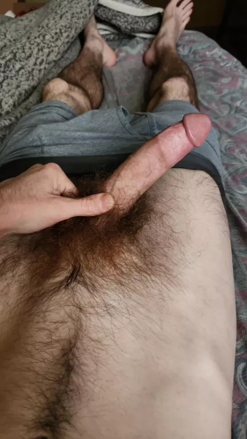 29 snap - steveo-whiteboy