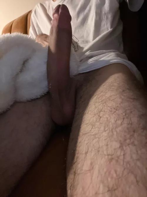 can someone worship my horse cock PLEASEE